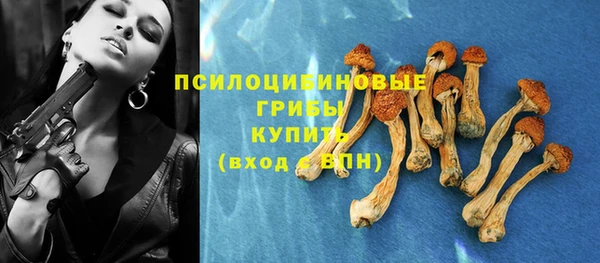 мяу мяу мука Абдулино