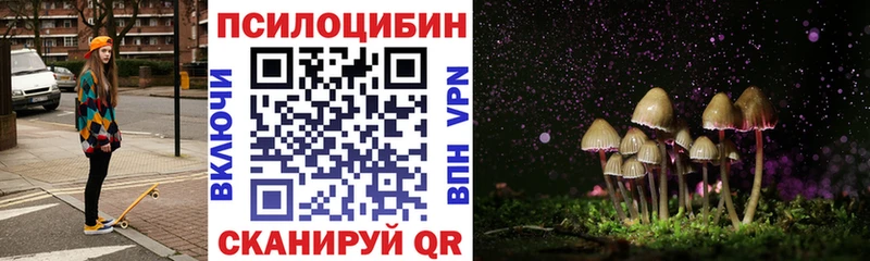 сколько стоит  Ковров  Псилоцибиновые грибы MAGIC MUSHROOMS 